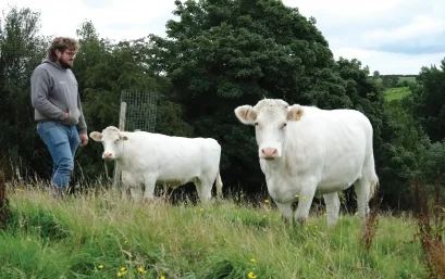Hallsford Whitebred 3